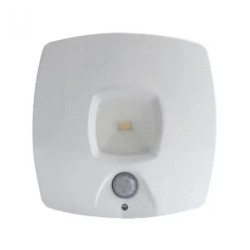 Φωτάκια Νυχτός