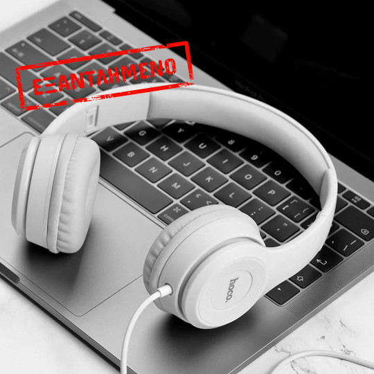 Ακουστικά Stereo Hoco W21 Graceful Charm 3.5mm με Μικρόφωνο Γκρι