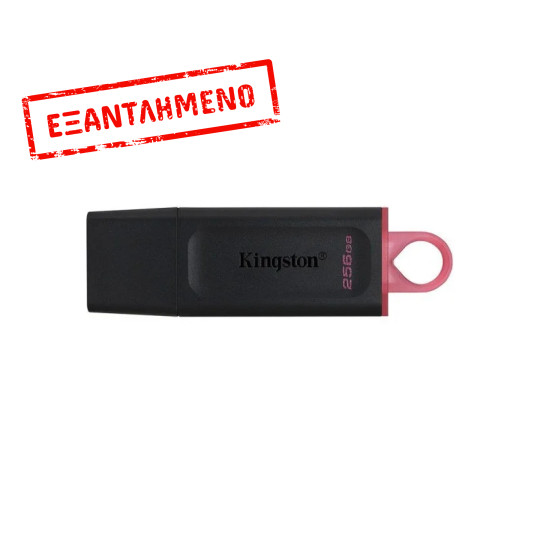 USB 3.2 Kingston Flash Drive Exodia 256GB USB 3.2 Kingston Flash Drive Exodia 256GB