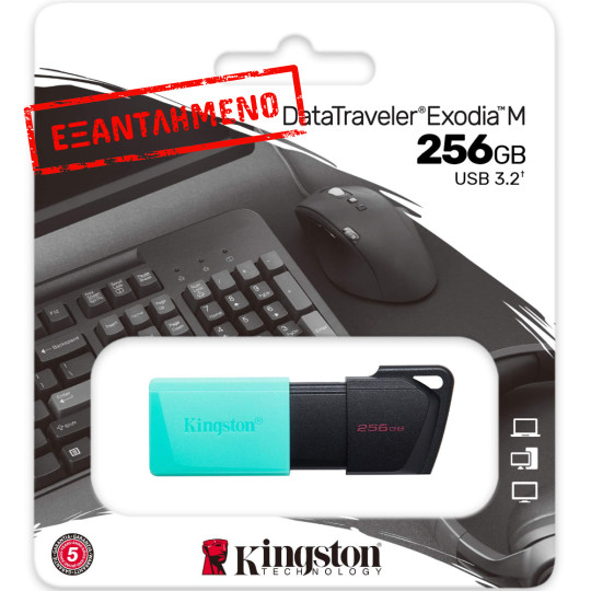 USB 3.2 Kingston Flash Drive Exodia M 256GB DTXM/256GB