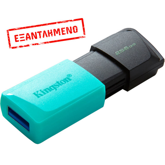 USB 3.2 Kingston Flash Drive Exodia M 256GB DTXM/256GB