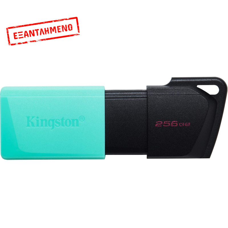 USB 3.2 Kingston Flash Drive Exodia M 256GB DTXM/256GB