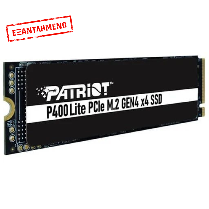 VP400 Lite SSD 250GB M.2 NVMe PCI Express 4.0