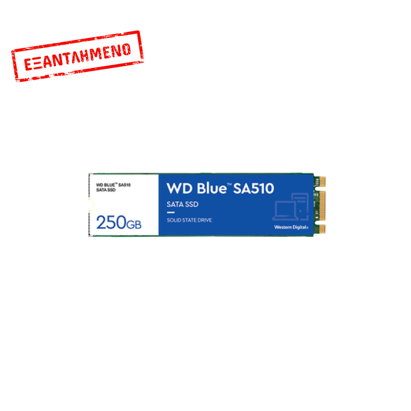SSD BLUE M2 2280 250GB 540/500