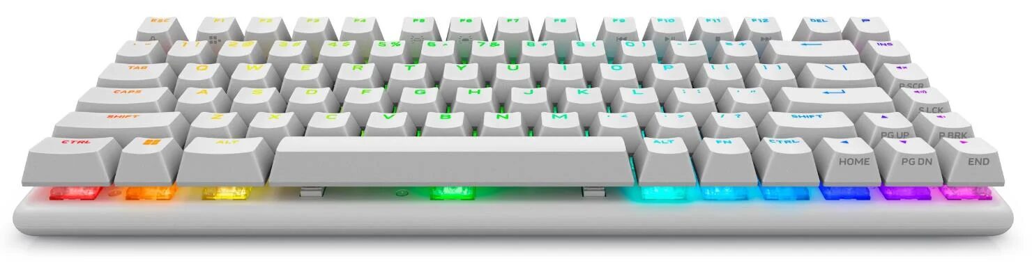 Dell Alienware Pro Gaming Keyboard Wireless White English US NOB Dell Alienware Pro Gaming Keyboard Wireless White English US NOB