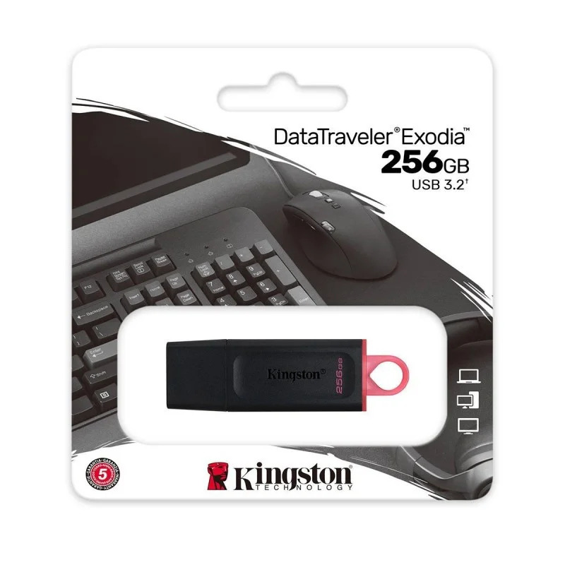 USB 3.2 Kingston Flash Drive Exodia 256GB USB 3.2 Kingston Flash Drive Exodia 256GB