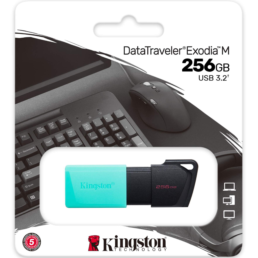 USB 3.2 Kingston Flash Drive Exodia M 256GB DTXM/256GB USB 3.2 Kingston Flash Drive Exodia M 256GB DTXM/256GB